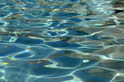 Water Texture